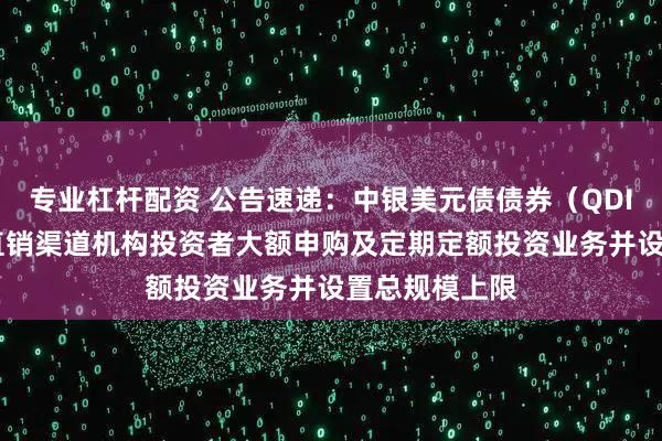 专业杠杆配资 公告速递：中银美元债债券（QDII）基金暂停直销渠道机构投资者大额申购及定期定额投资业务并设置总规模上限